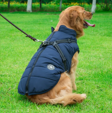 Winter Warm Hooded Coat for Small Dogs and Cats