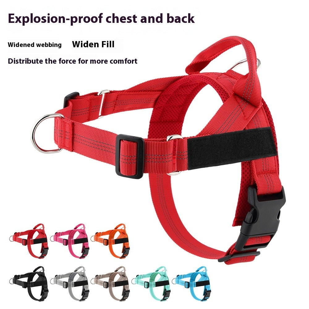 Lightweight Dog Harness with Leash