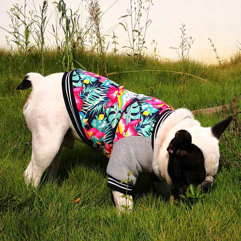 Stretch Printed Two-Legged Clothes for Pitbulls