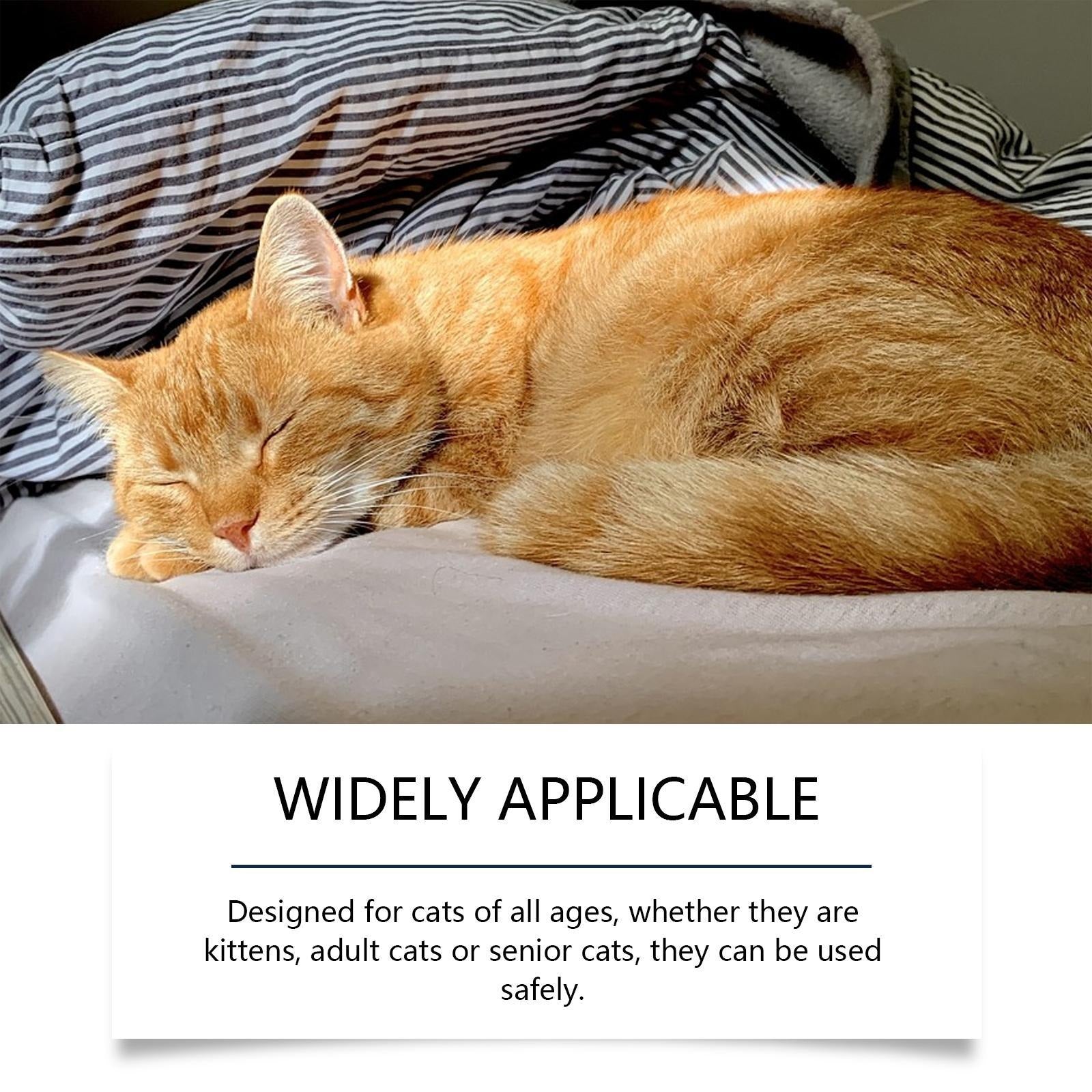 Cat Emotional Care Set