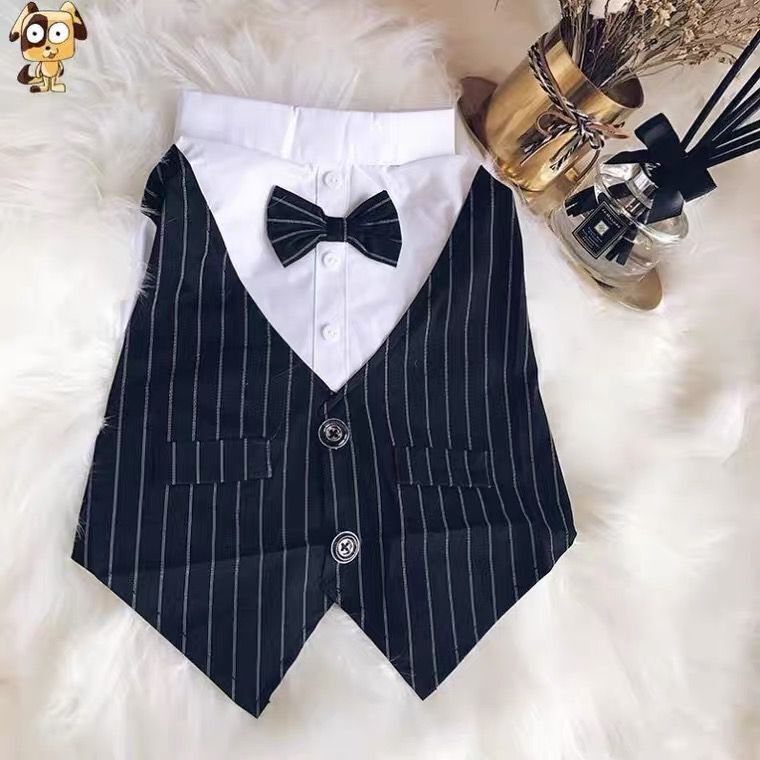 Creative Simple Dog Suit Shirt Coat