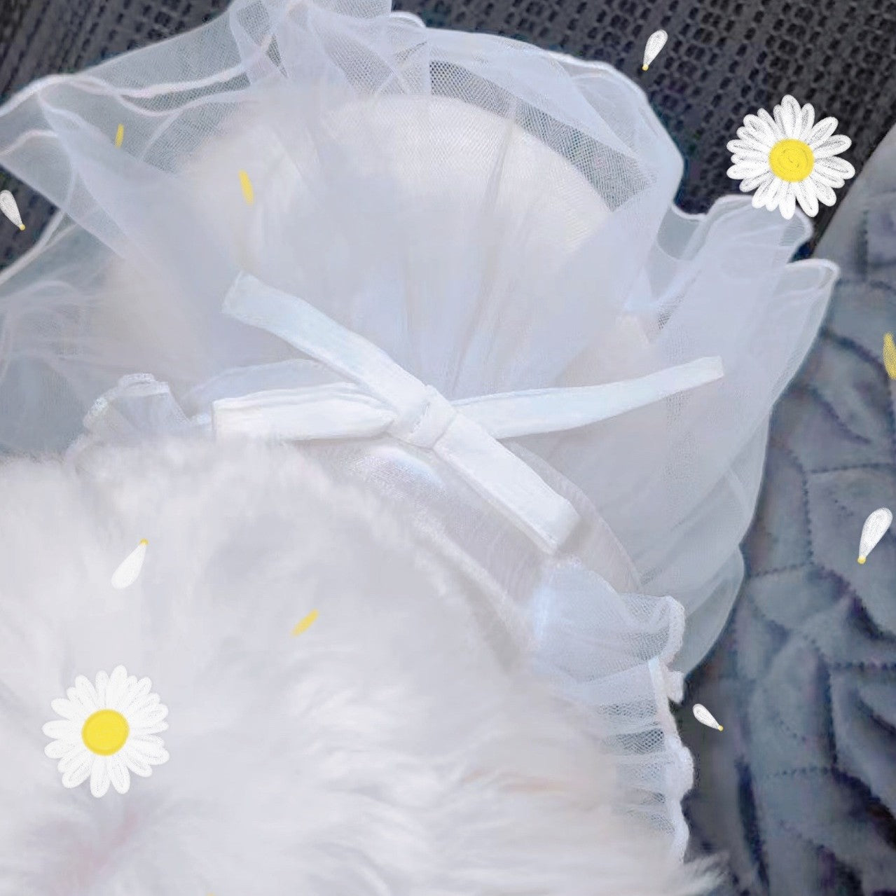 Korean White Sarong Skirt for Dogs
