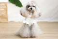 Cartoon Dress Suspender Skirt for Small Dogs