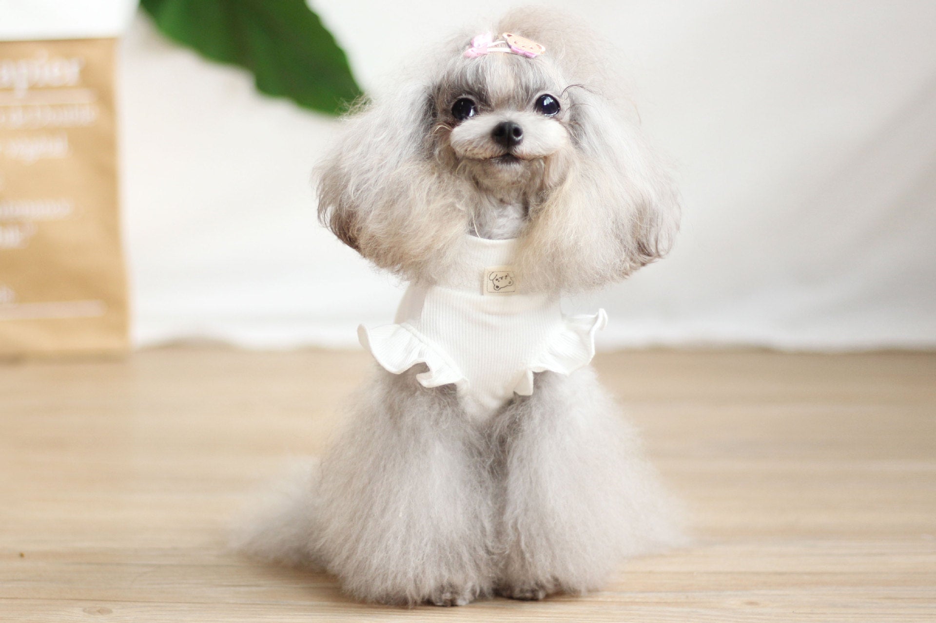Cartoon Dress Suspender Skirt for Small Dogs