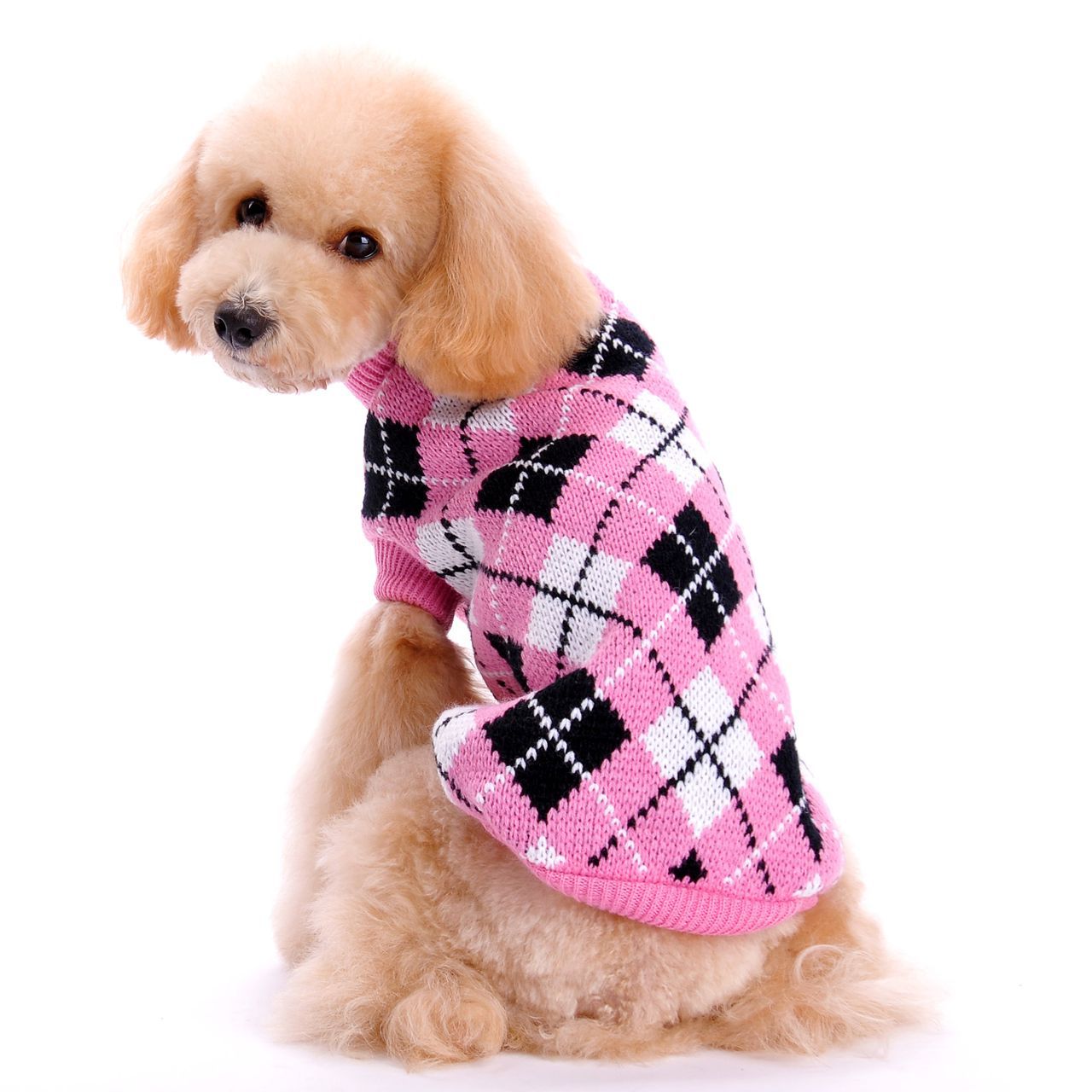 Knitted Fall/Winter Pet Sweater for Dogs (Teddy/Poodle)