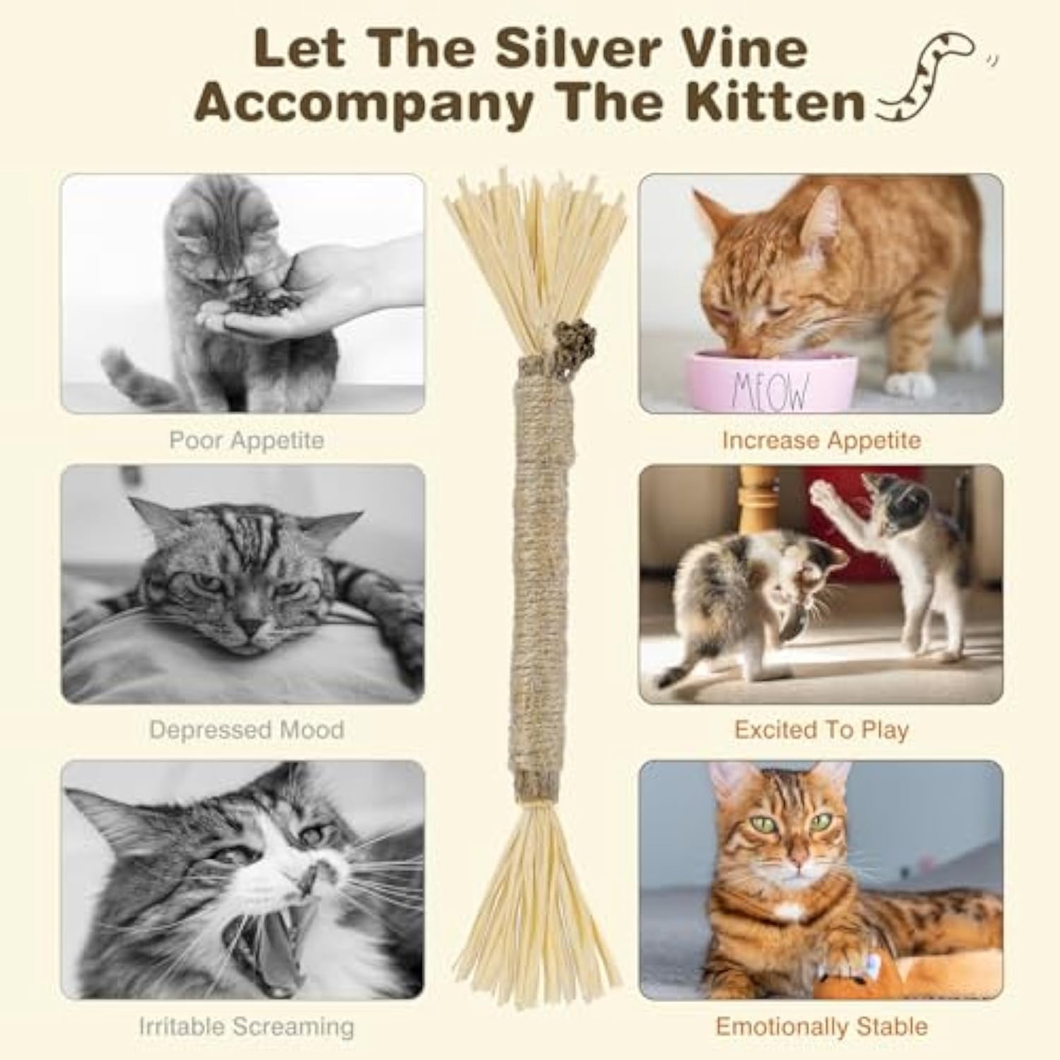 3 Pack Silvervine Cat Chew Sticks for Dental Care