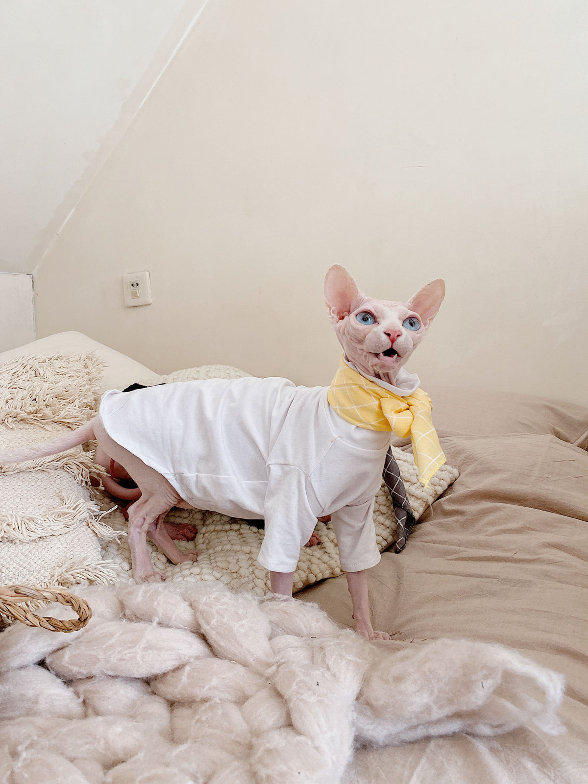 Sphynx Cotton Allergy-Free Spring Summer T-Shirt