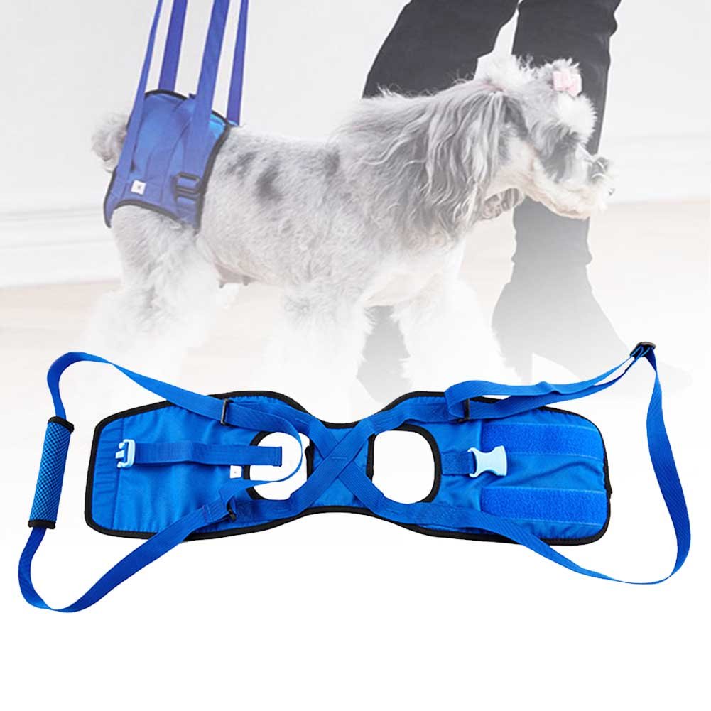 Portable Elastic Walking Assist Harness for Disabled Dogs