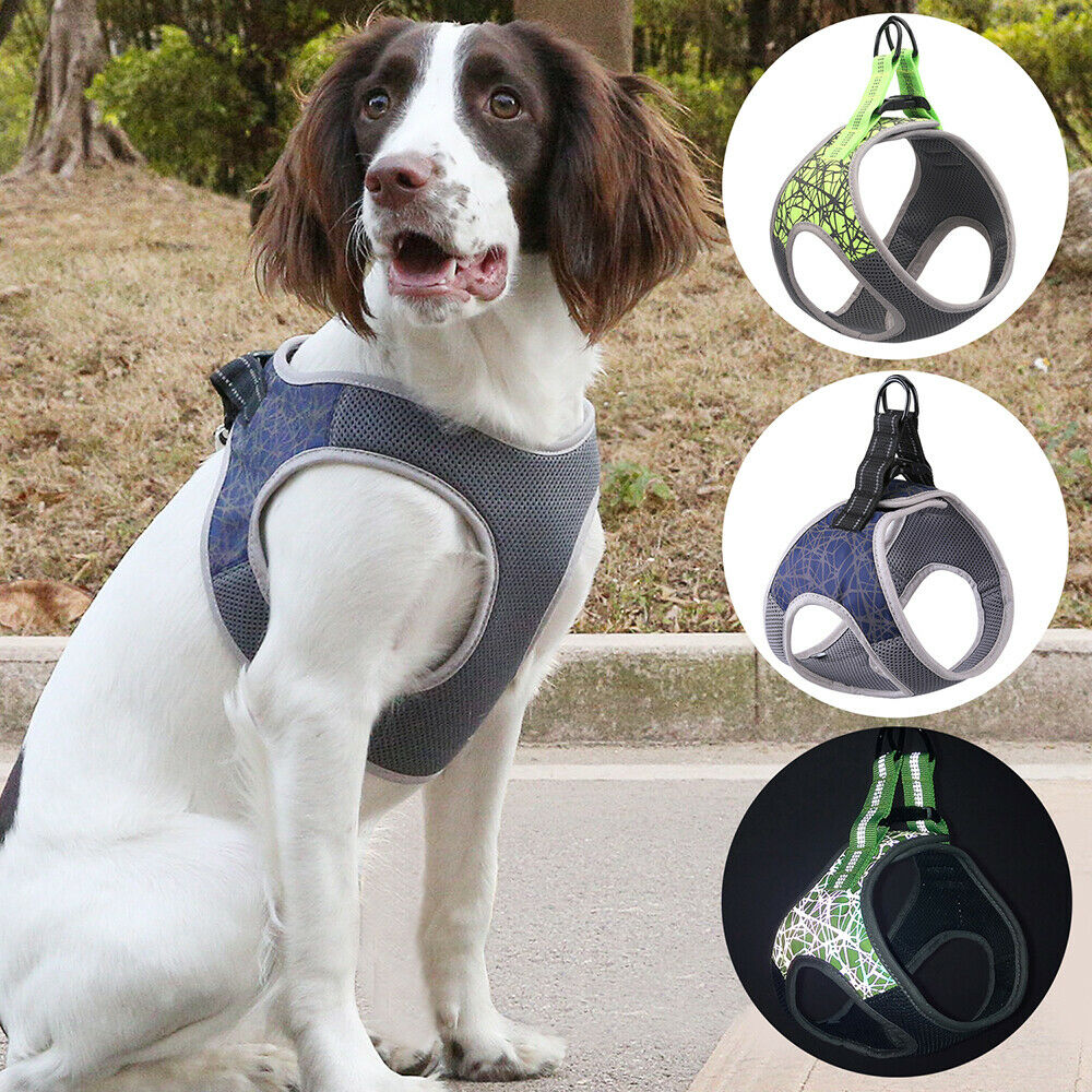 Dog Leash Vest for Comfortable Pet Walking