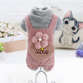 Teddy Bichon Pomeranian Chihuahua Plush Coat