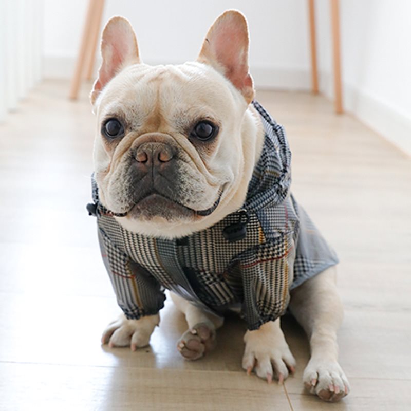 Waterproof Pet Raincoat with Plaid Design for Dogs