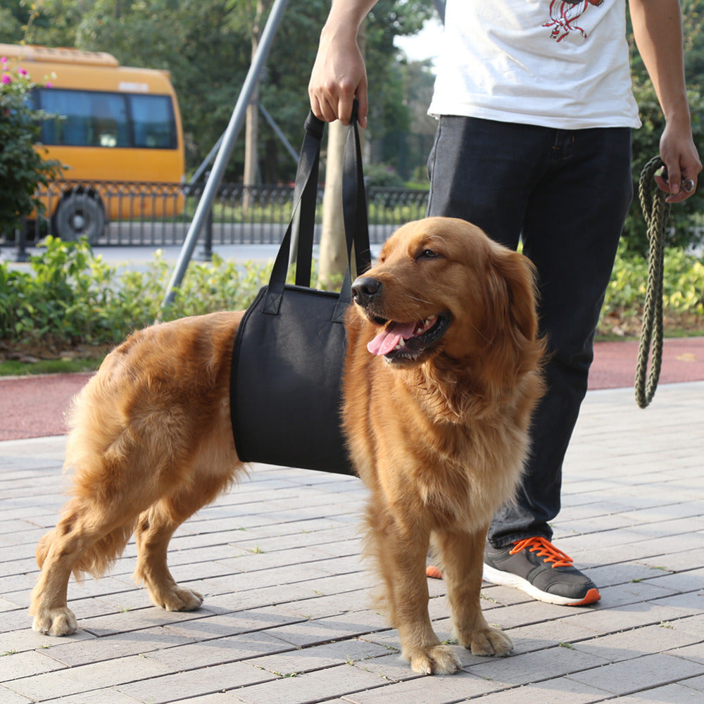 Pet Support Harness for Injured Dogs (Small to Large)