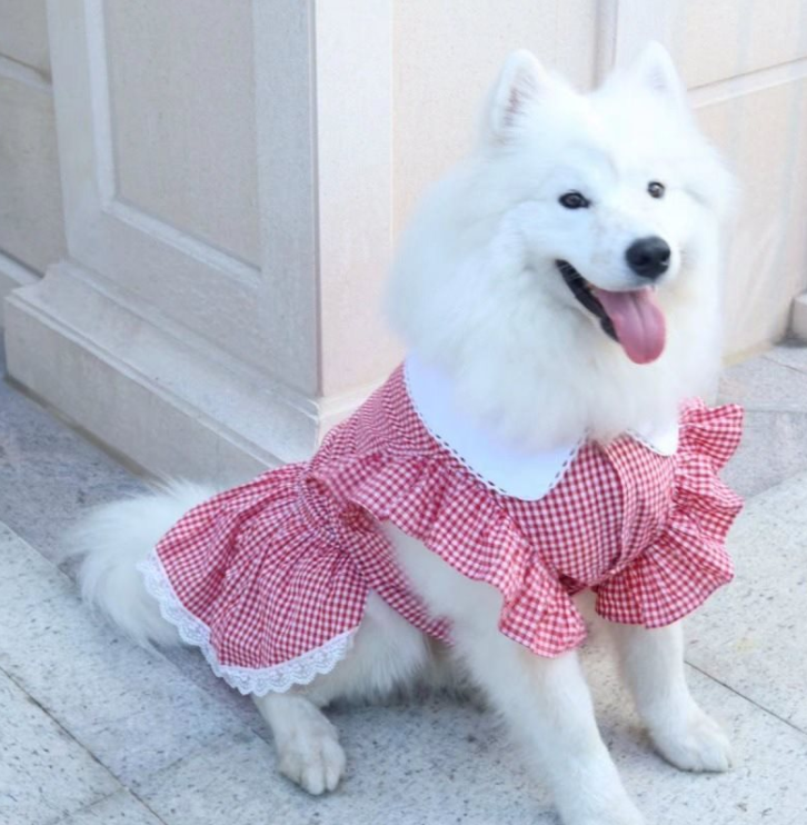Summer Dress for Small Dogs - Princess Shirt Outfit