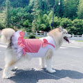 Princess Dog Costume for Big Dogs (Labrador, Golden Retriever)
