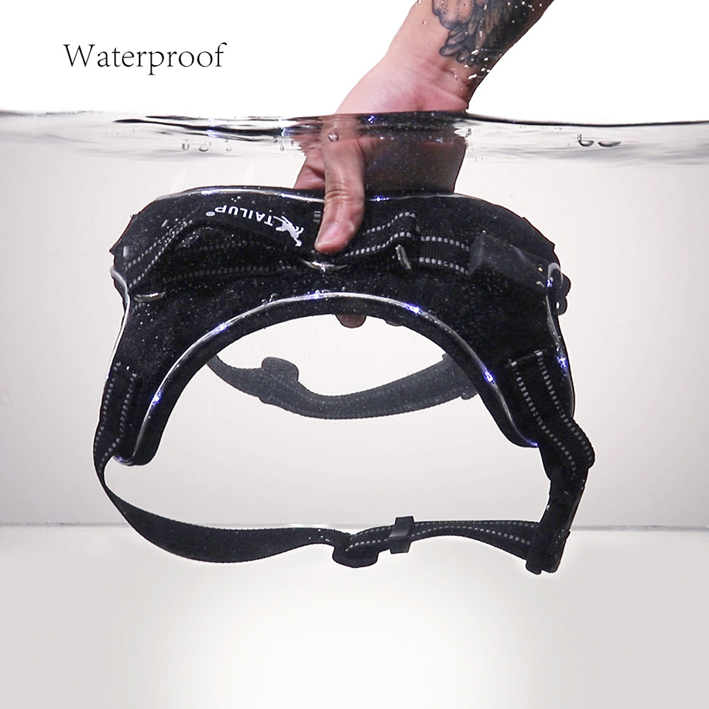 LED Dog Harness with Leash and Light-Up Collar