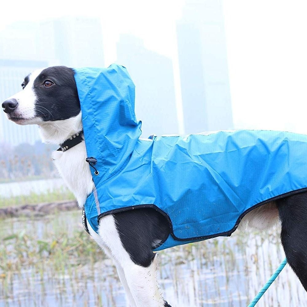Waterproof Pet Raincoat - Easy to Wear and Remove