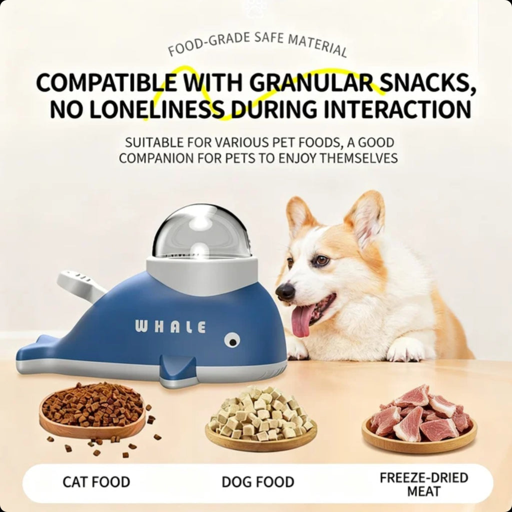 Pet Treat Puzzle Feeder Toy