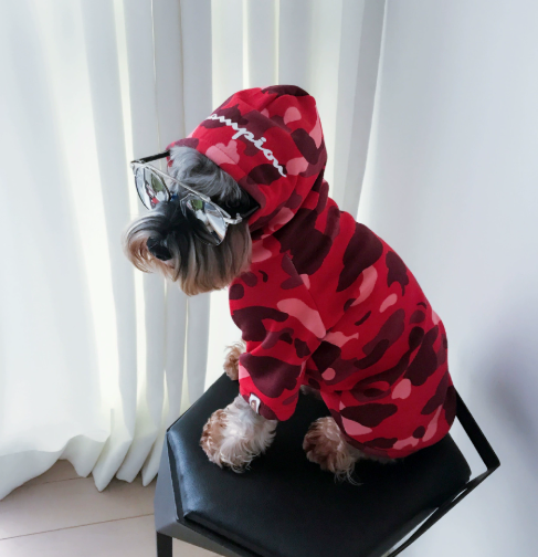 Thick Fall/Winter Pet Hoodie for Dogs and Cats