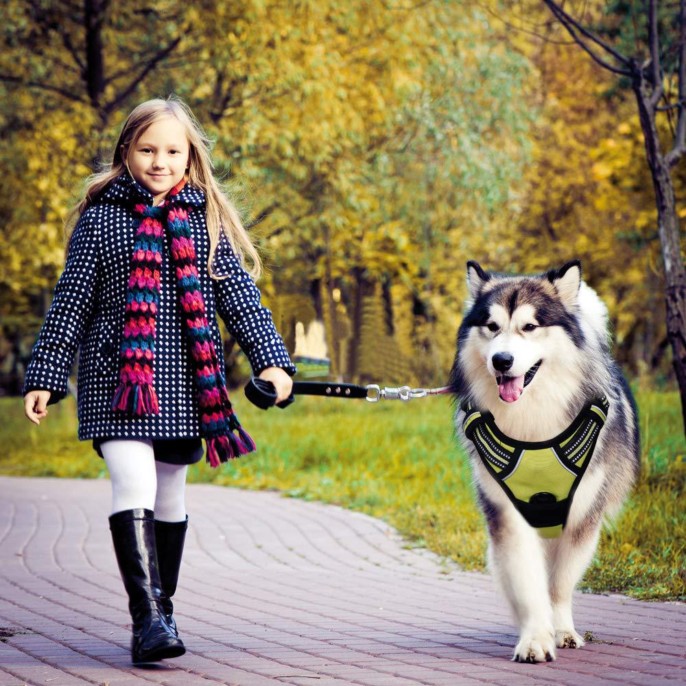 Reflective Anti-Explosion Dog Harness with Leash