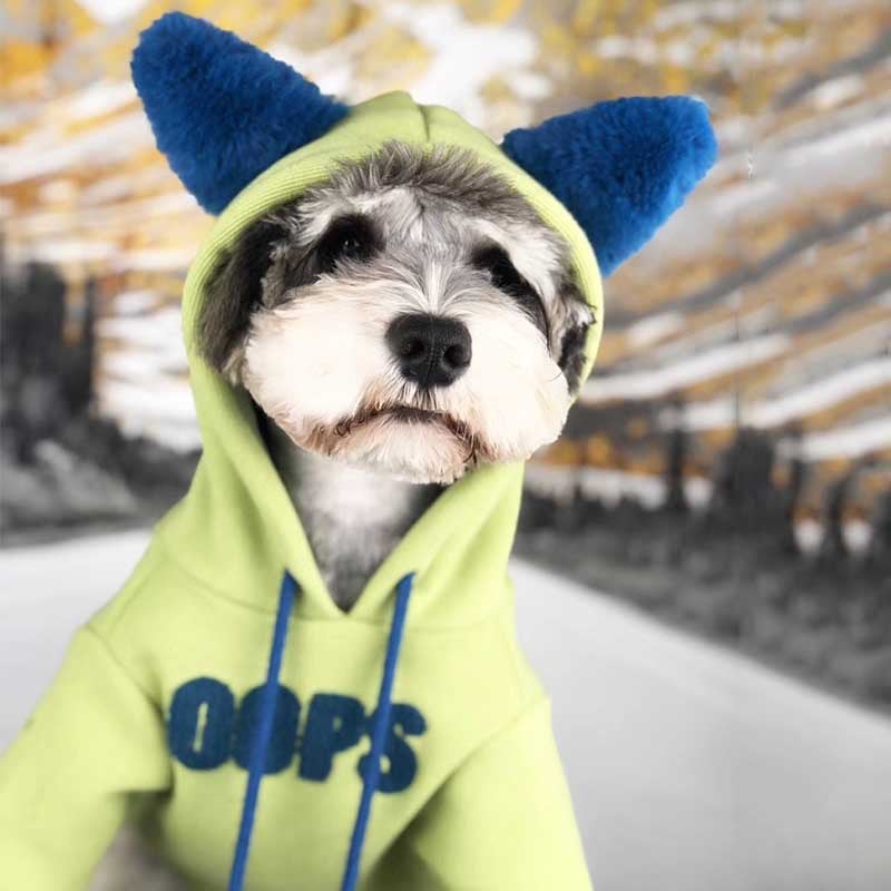 Cotton Sweater for Small Dogs - Autumn and Winter