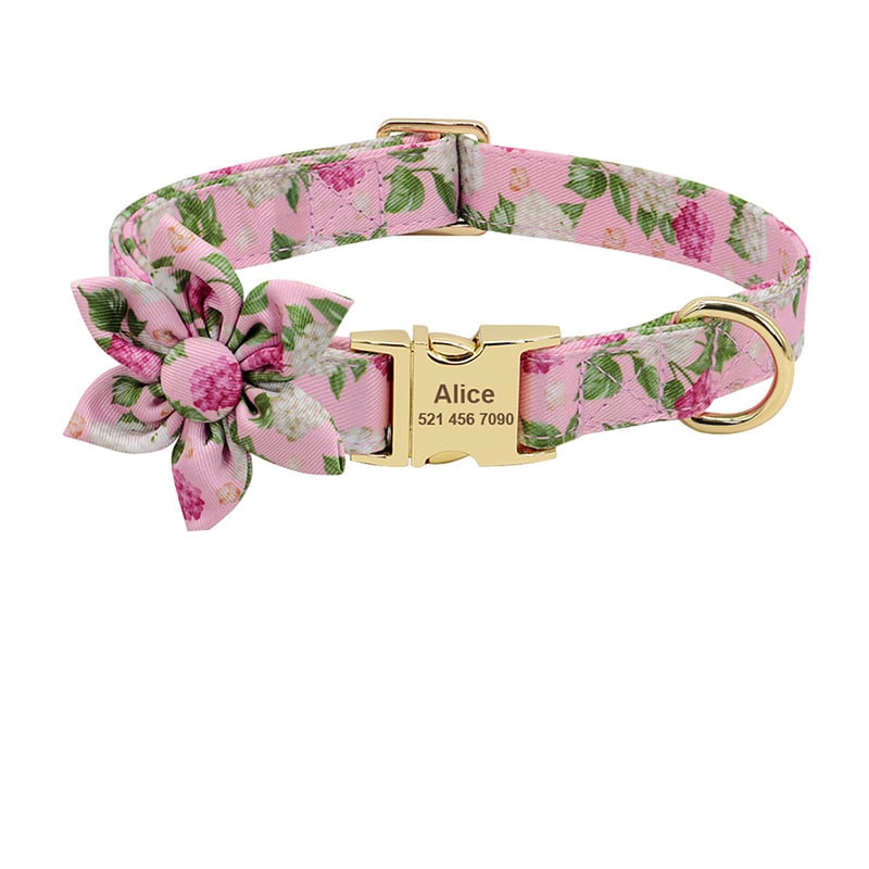 Personalized Fashion Printed Nylon Dog Collar with ID Tag