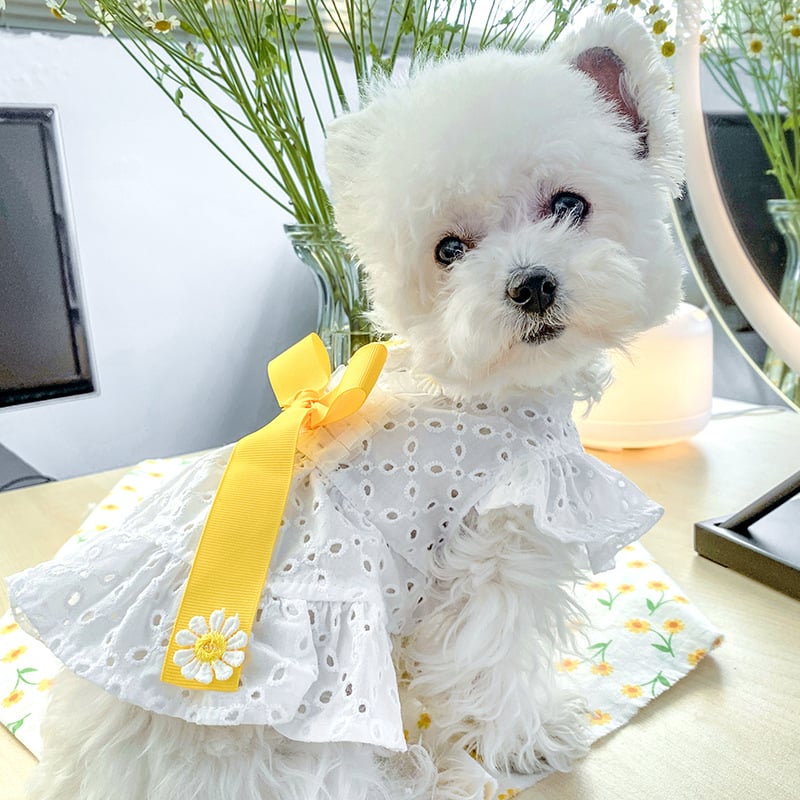Daisy Flower Princess Skirt for Dogs with Bow