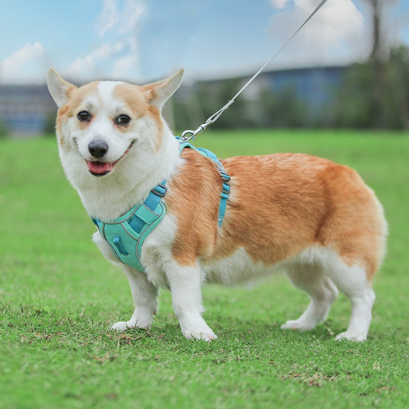 Large Anti Slip Pet Chest Harness