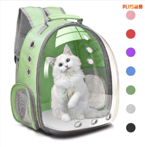 Large Transparent Cat Backpack