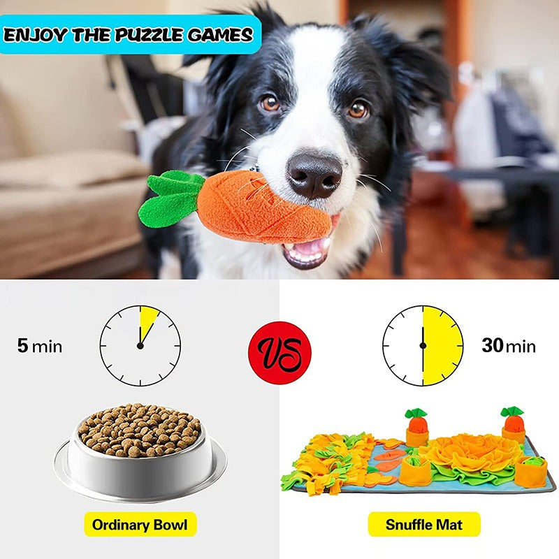 Pet Minimalist Scenting Pad Toy