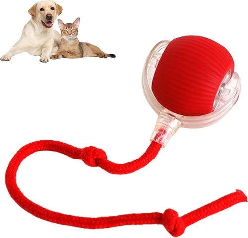 Automatic Rolling Pet Ball Toy