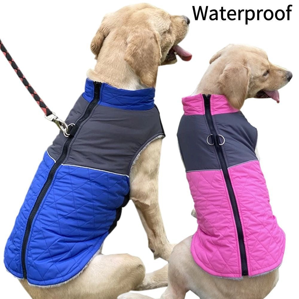 Waterproof Winter Dog Jacket (XS–3XL)