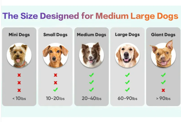 LED Pet Ball