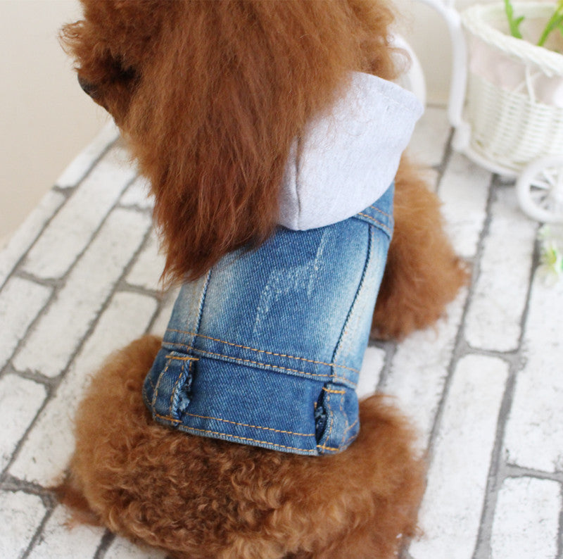 Hooded Cowboy Outfit for Summer Bichon