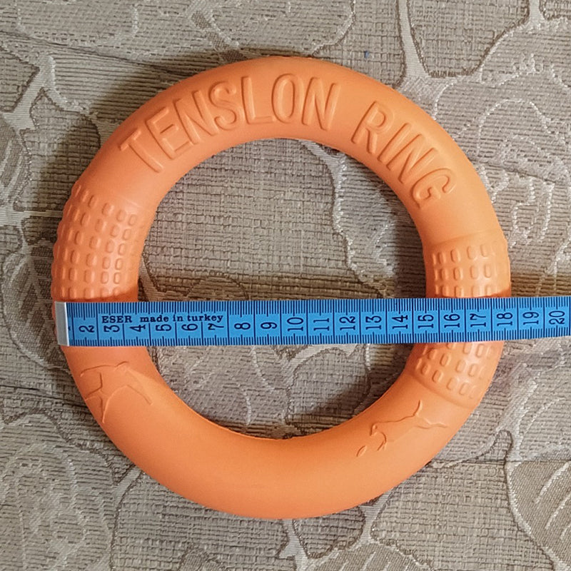 Interactive EVA Training Ring