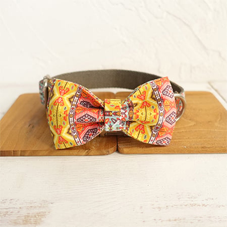 Funkadelic Matching Collar and Leash Set