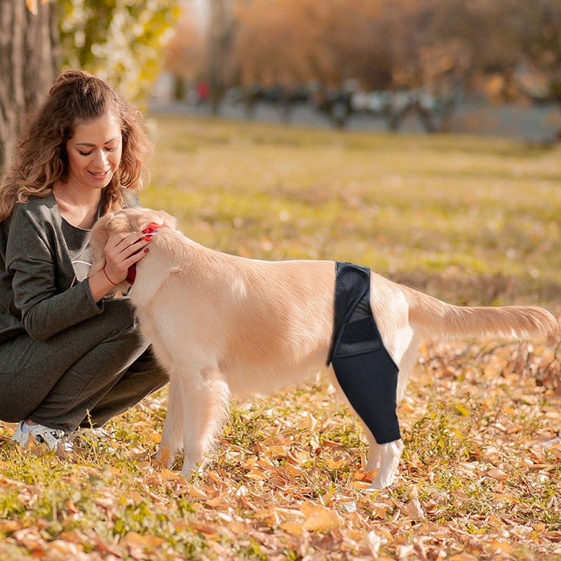 Dog Knee Brace Support for Joint Recovery
