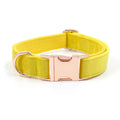 Engravable Rose Gold Buckle Yellow Velvet Dog Collar Set
