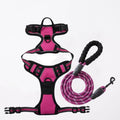Nylon Dog Harness & Leash Set