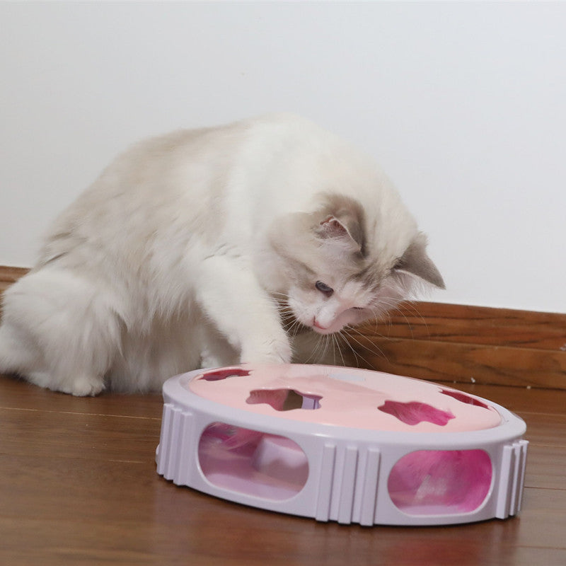 LED Flash Feather Cat Toy for Interactive Play