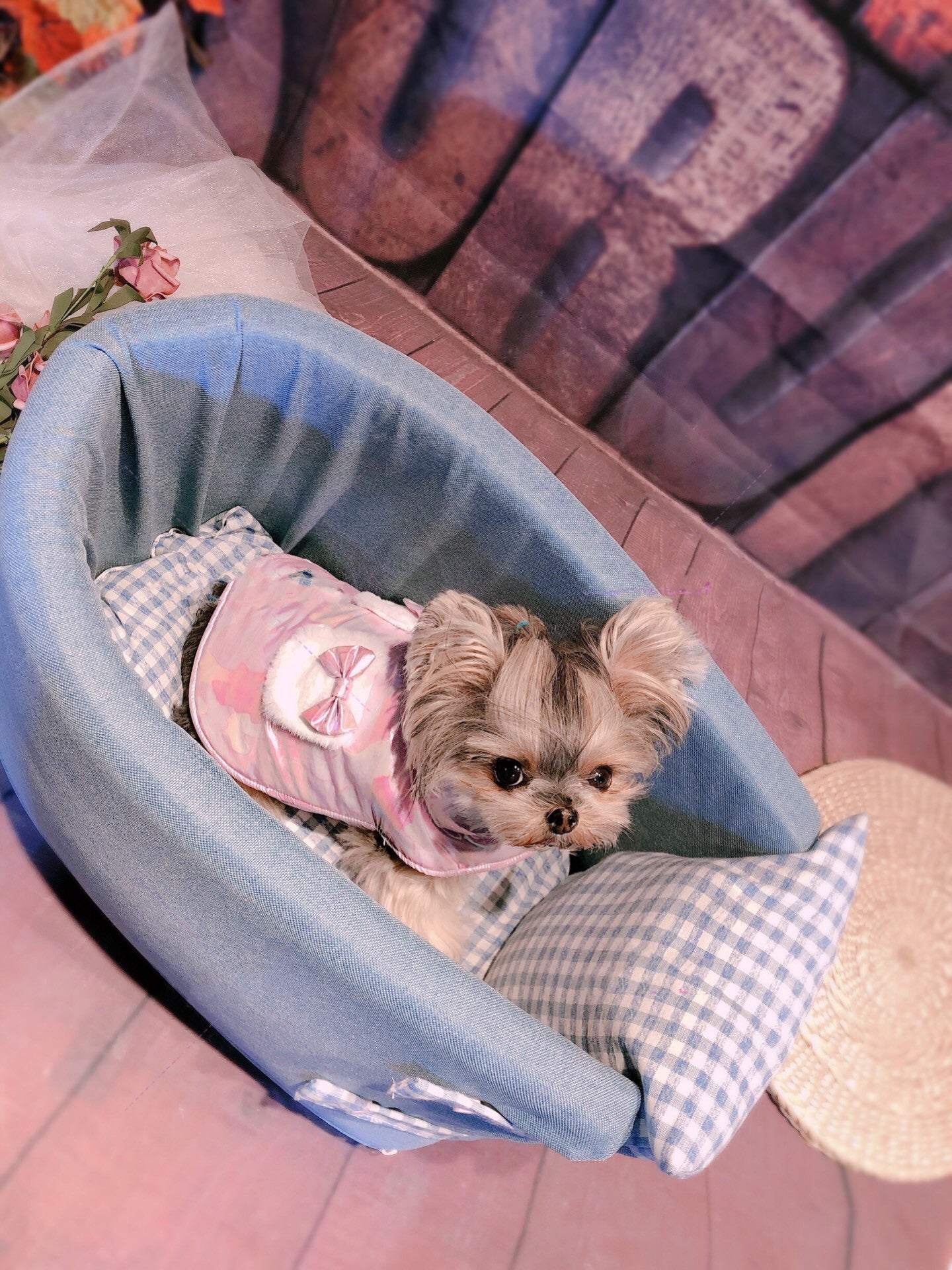 Removable and Washable Car Seat Cushion for Dirt Prevention