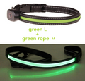 Luminous Dog Collar for Nighttime Safety and Visibility
