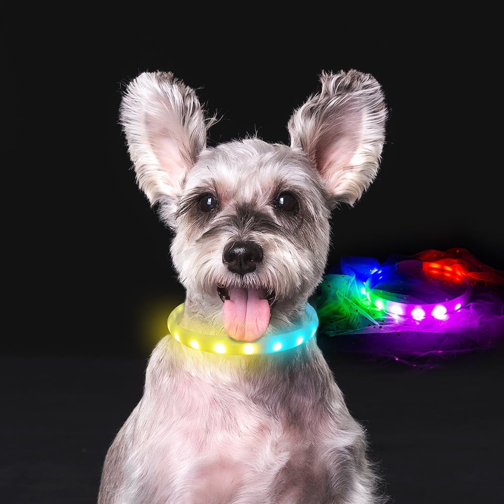 USB Charging Flash Collar for Dogs - Anti-Lost Silicone