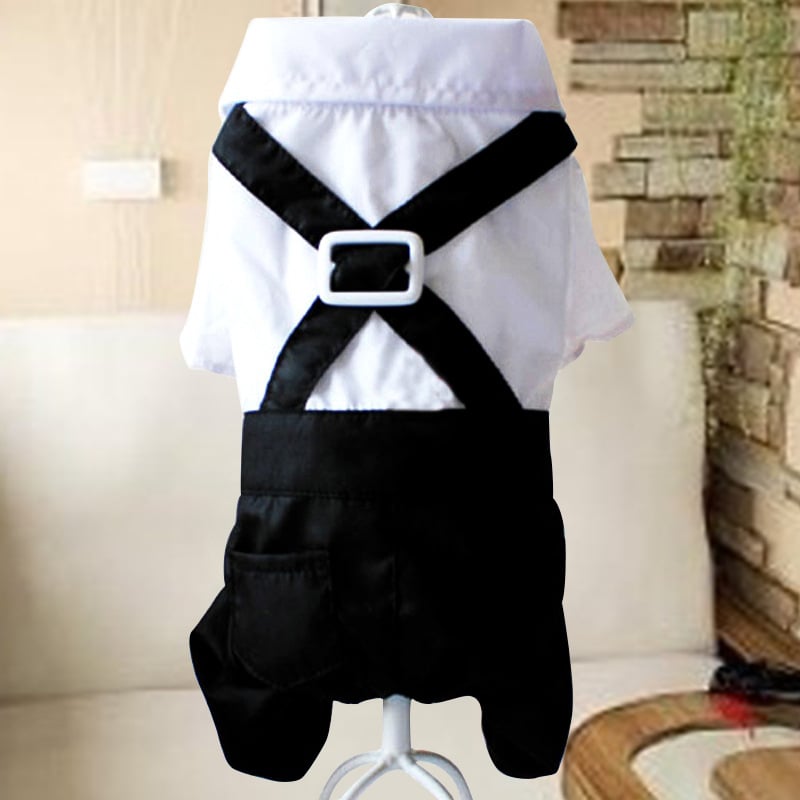 Teddy Dog in British Bow Tie Suit Bib