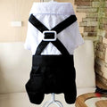 Teddy Dog in British Bow Tie Suit Bib