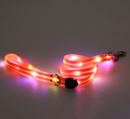 Rechargeable LED Luminous Nylon Pet Collar & Tow Rope