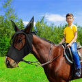 Lycra Horse Fly Mask with Ears for UV Protection