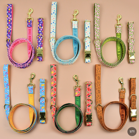 Double-Sided Pet Collar & Leash Set