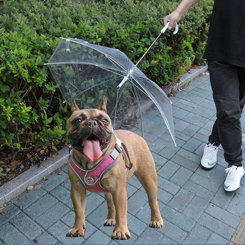 Pet Umbrella with Leash for Small Dogs like Teddy