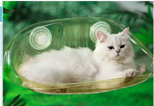 Modern Cat Floating Bed with Glass Suction Cup (One Piece)