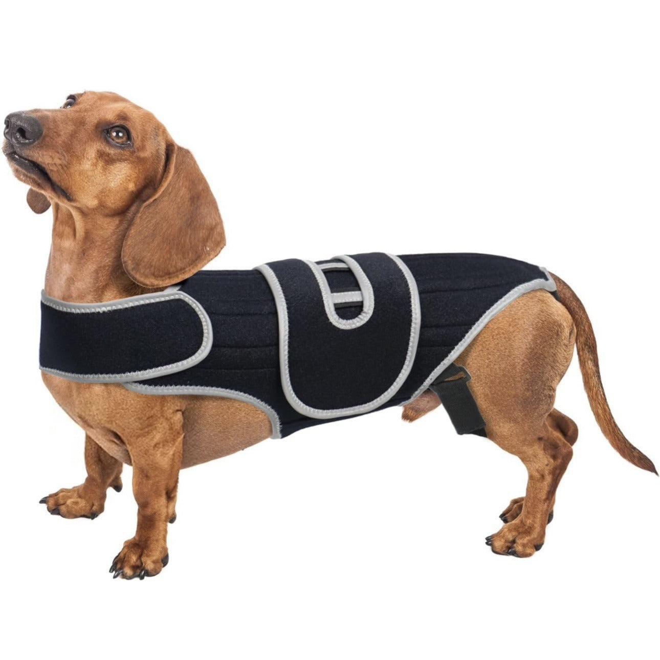 Dog Back Support Sling